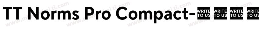 TT Norms Pro Compact字体转换